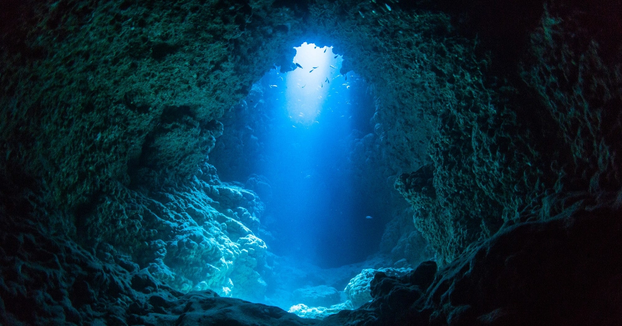 今、先生が関わっている歯科医院のマーケティング会社は浅く広く型？狭く深く型？