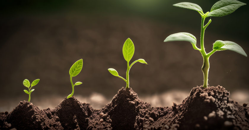 インプラント専門サイトを作って契約が倍に！？成功している歯科医院さんが専門サイトを作る理由