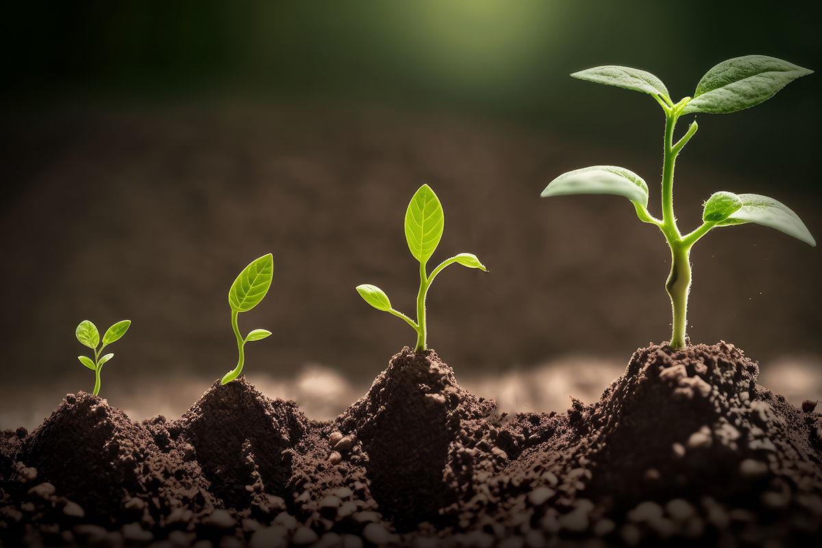 インプラント専門サイトを作って契約が倍に！？成功している歯科医院さんが専門サイトを作る理由